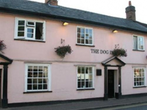  The Dog Inn  Халстид
